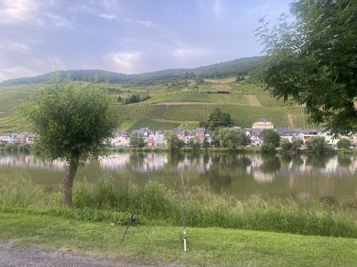 mosel1.jpg